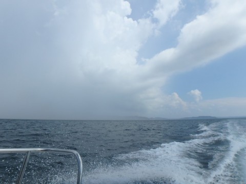 6edunsb26ifbiti3sd55_480_480-a593b3b5.jpg
