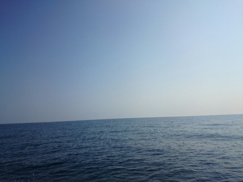 6ehc7y3ovry37eo466xj_920_690-8d260f47.jpg