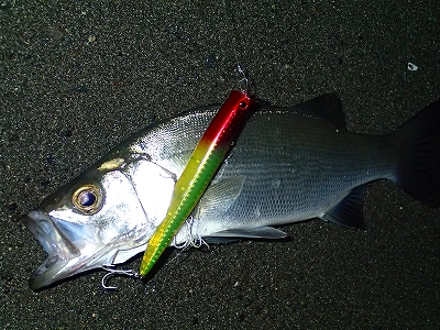 6ep7btg8bhc7at7w9x9h-9202bca0.jpg