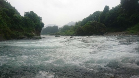 6evxirwuj37nkkycjfei_480_480-243788f8.jpg