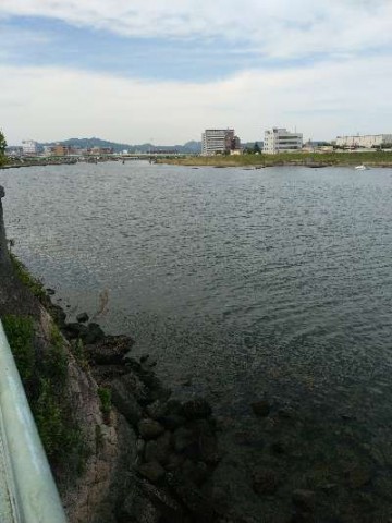 6f4dc8kx4jxzpd3ej9a7_480_480-485de941.jpg