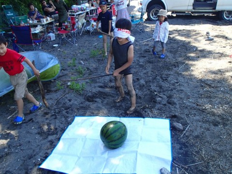 6f5o9aurzpazkoc357so_480_480-d49b5cf9.jpg