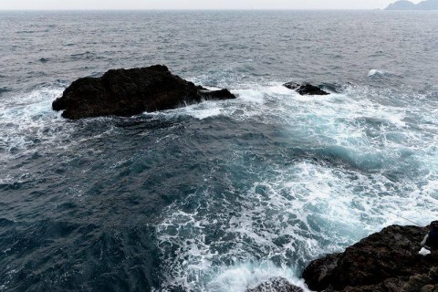 6f73dvi3km5njr2v2af7_480_480-dd930c5b.jpg