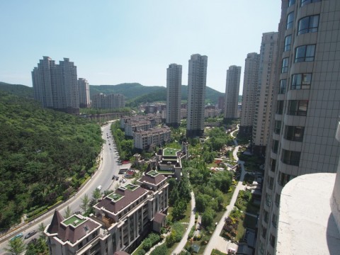 6f79hci8emixfcddb55h_480_480-f5bc9267.jpg