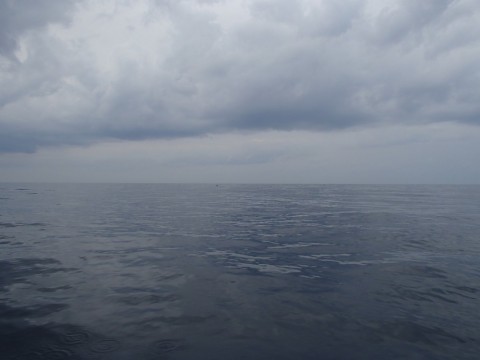 6ffdwcccfdoia7s4323y_480_480-271dc3be.jpg