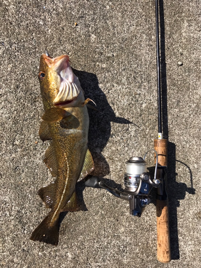 Rider S Fishing Journey ノルウェーの釣り Rider S Fishing Journey ノルウェーの釣り