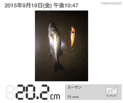 6fmewbvoxkfk5mcn92wd_920_771-3ac0ee8b.jpg
