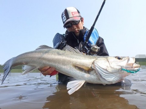 6fojzahn5k6s4rmnopmx_480_480-ee93c749.jpg