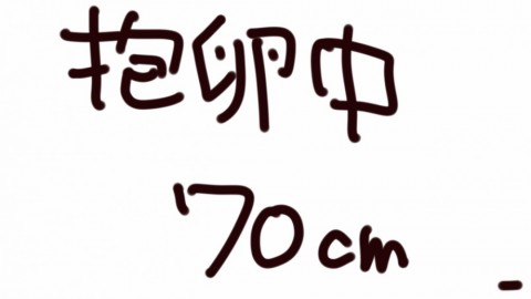 6g4d9o8s65ed7frcfj74_480_480-98540597.jpg