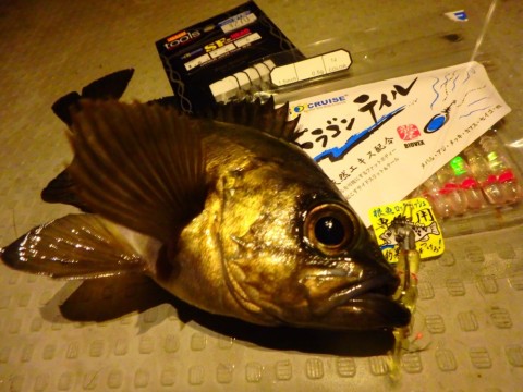 6g9mh9zukdutdj9855ie_920_690-62f28747.jpg
