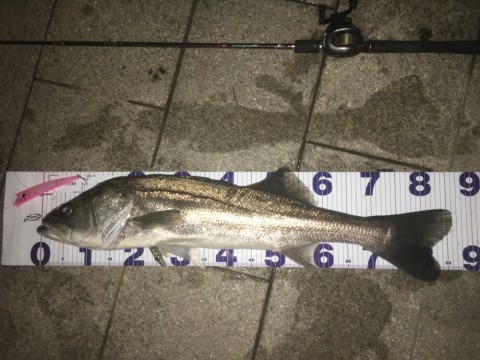 6gahpg847zdcjvsfeno8_920_690-8cc72ef2.jpg