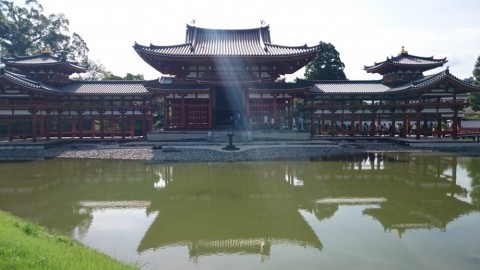 6gbnwj94i8w7tx8gik6d_480_480-f2f12a5b.jpg