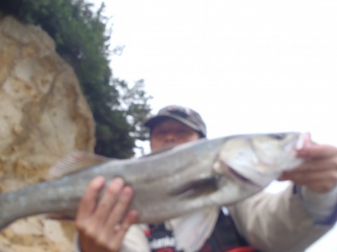 6gif4enc5emubgmkxu44_480_480-41475d50.jpg