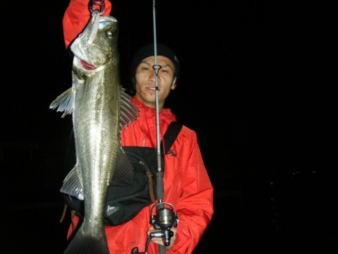 6gm2yg7mtm978m28fmcg_480_480-709f2be1.jpg