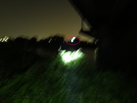 6gpgm3bjwbvjmshystcc_480_480-50025780.jpg