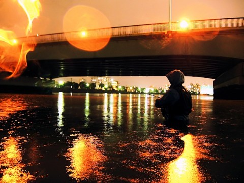 6gtdnbo78mmy5seyy5b2_480_480-c6f938a9.jpg
