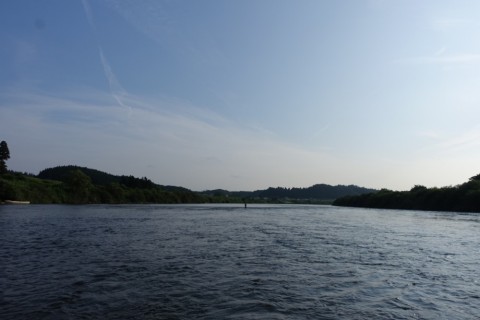 6h8kac8o5z6byw8mn4ko_480_480-185187e8.jpg