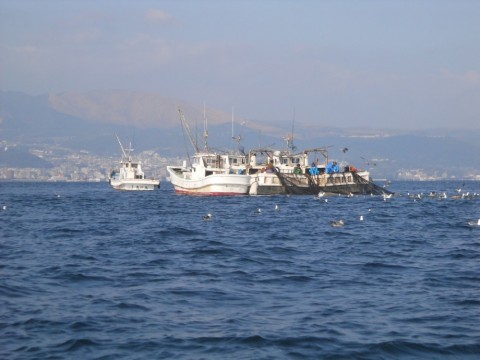 6h8vk6hbsj8g9adwykz9_480_480-45c0fc68.jpg