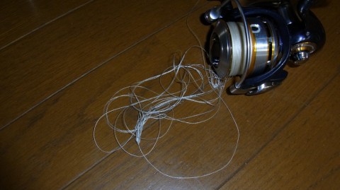 6hNUiSjrwGvZSttzZGGP_480_480-76411734.jpg