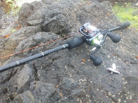 6hjyxjpg92me47pnebow_920_690-4ee06630.jpg