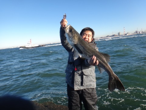 6hxevum6snhcrabccpsh_480_480-4435c821.jpg