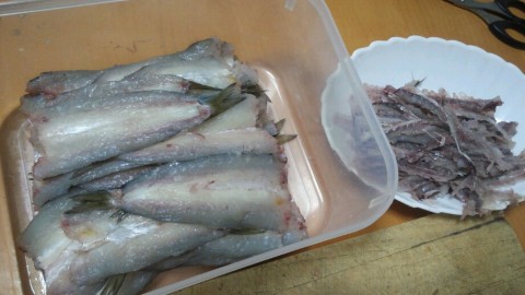 6hzvdmg5dsmnui2niaka_920_518-10b04998.jpg
