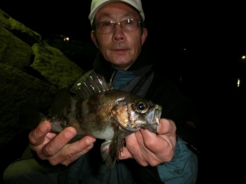 6igu5d6h3sos6fg7e2cc_480_480-c4c06090.jpg