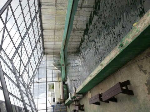 6imrbjhs5jbr4h6x6sbf_640_480-4d909345.jpg