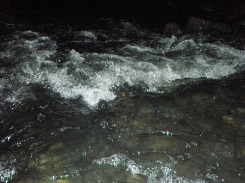 6inrkz8c2t448t854ocd_480_480-56473d93.jpg