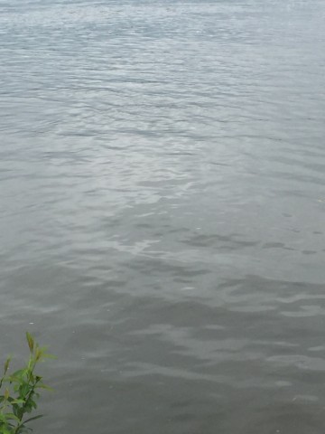 6itc7dws4h5ihekfjd3m_690_920-57c951c4.jpg