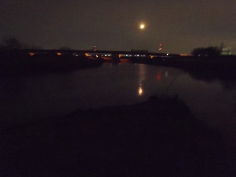 6ixaws4y73cyveunvuhs_480_480-6db21462.jpg