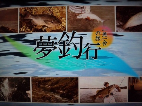 6j2r5a84db884ew2d9jp_480_480-dee78ad8.jpg