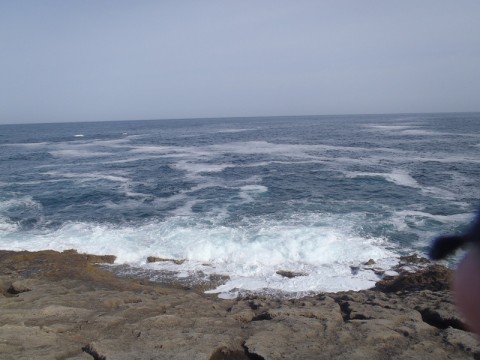 6j9fzxkfspujkix8223n_480_480-c8e0db7a.jpg