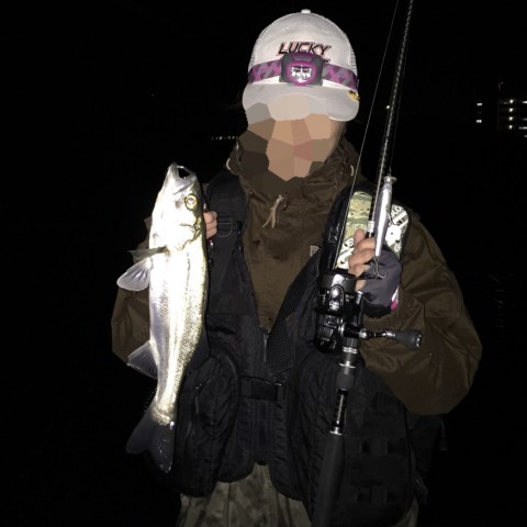 6jbds4h6mx4n29mnrb95_920_920-55c5e506.jpg