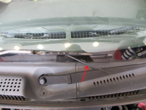 6jcoyn9jwcs829trbzrc_480_480-7edc1e9d.jpg