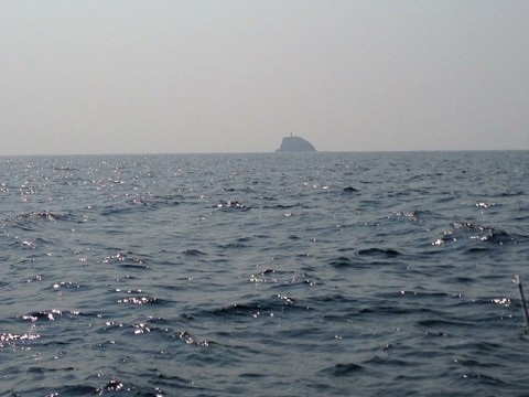 6jwbnpcuswgchtv9ckn7_480_480-d6933aa4.jpg