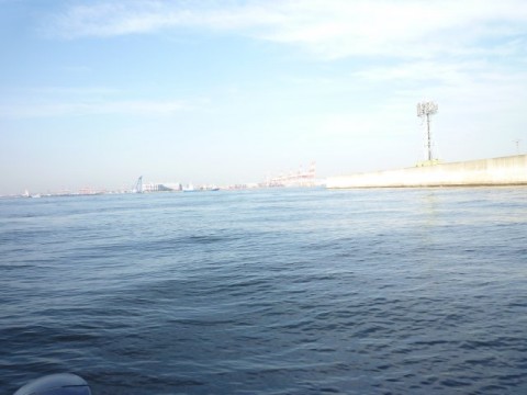 6jx22ehv6oas5pbmm5dj_480_480-e66f986f.jpg