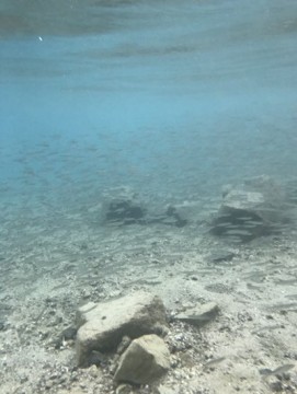 6k79h42j78ozabhmns9k_361_480-f1c9feca.jpg