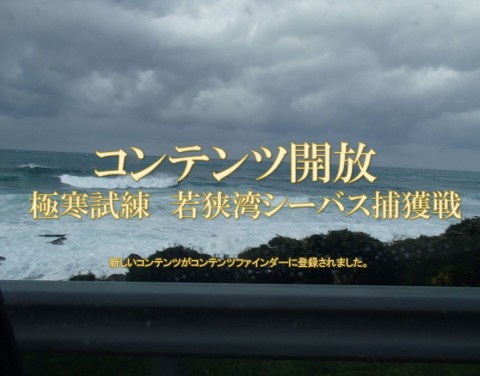 6kjc9hw7ppn9ofvchkbu_480_480-5cf93c90.jpg