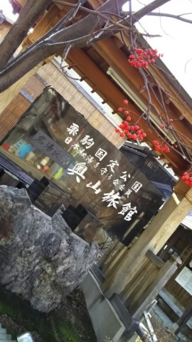 6km25tjo5hy6ebufpwbz_518_920-8bb94488.jpg