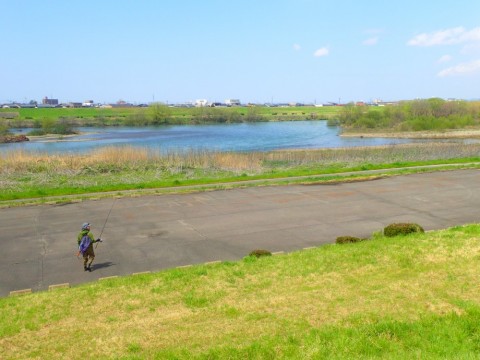 6km32nm2wch7a85uv6xo_480_480-a05e05de.jpg