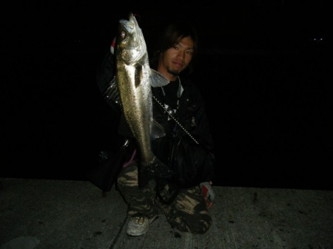 6km65pnoyap6mo7ujhc8_480_480-5c6cffbb.jpg