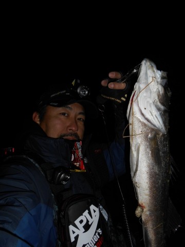 6kvkrdacjugpinbxrcts_480_480-2ed0731f.jpg