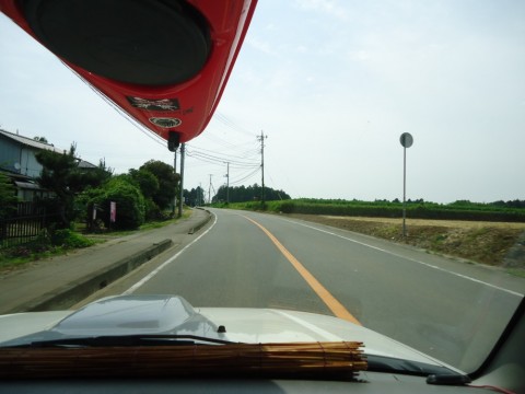 6m56j44bchkvj9c765dm_480_480-ce649740.jpg