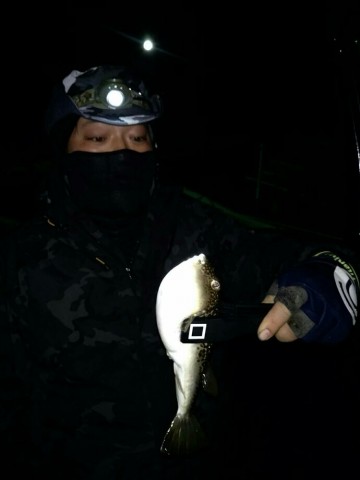 6m7pver726mrgrakndjo_690_920-4920861a.jpg