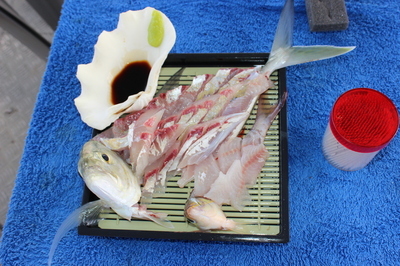 6md4re9kt48aee7rn9az-5e863c13.jpg
