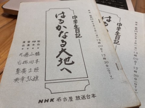 6mf9jnjchk5gsgcgfefp_480_480-eda116e4.jpg