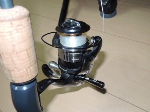 6mgyoamu7skygumhwam2_480_480-c120ff3e.jpg
