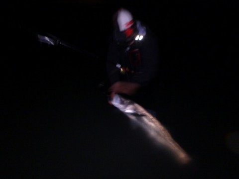 6mtz9btj29vrhk8psopv_920_690-e7cc97c8.jpg