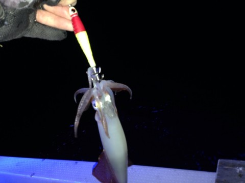 6negy78349ahgo3dck9h_920_690-91038e4c.jpg
